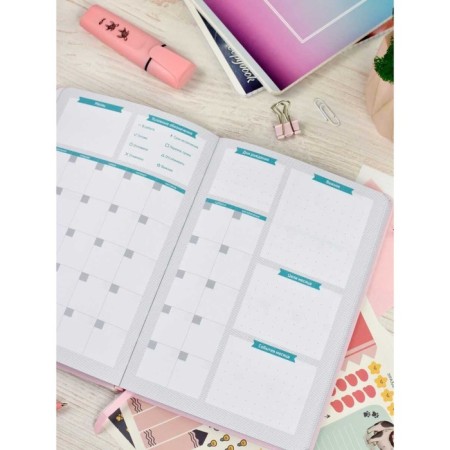 School School A5 80 sheets "pink", solid cover of artificial leather, foil embossing, liesse, reference material, block 70 g/m2-5