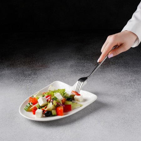 Porcelain dish Magistro "Blanche", 24 × 18 × 4.5 cm, white color-7