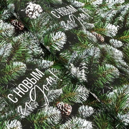 Package paper "spruce", gloss, 80 g/m2, 70 x 100 cm-1