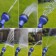Polivot stretch stretching from 7.5 to 22.5 m, latex, quick -set, with watering gun and fitting, Greengo