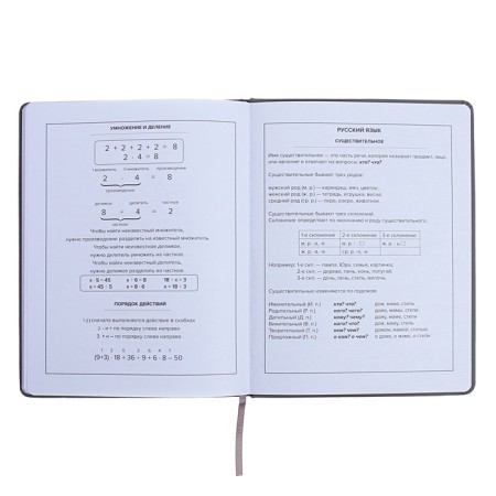 Universal Grade 1-11 Diary, 48 JIUCY sheets, firm artificial leather cover, foil embossing, pancake embossing, rhinestones, liesse-13
