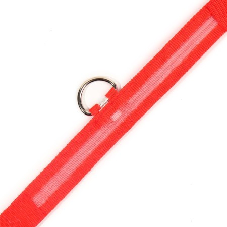 Collar with backlight size m, Osh 40-48 x 2.5 cm, 3 glow modes red-8
