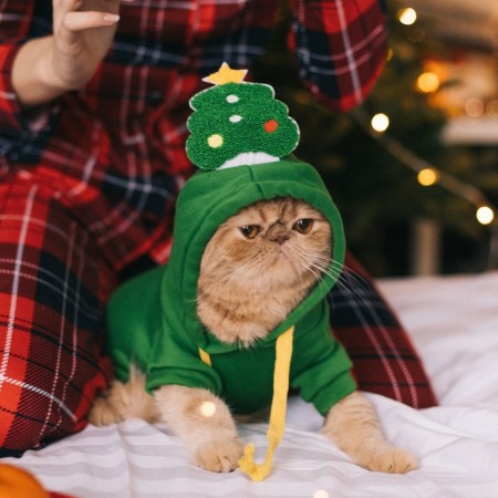 Animal costume "Christmas tree", size m, green-9
