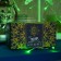 Garland "fringe" 3 × 0.6 m, IP44, UMS, transparent thread, 160 LED, green glow, white flicker, 220 V