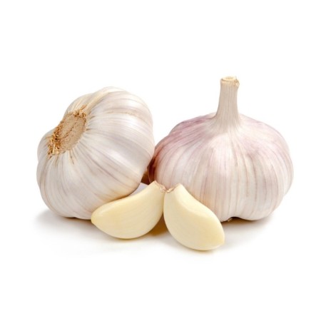 Garlic Winter Dobrynya 40+, mesh 1 kg-1