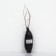Ivas whole-leaved "Hakuro-Nishiki", 1 pc, tube, spring 2025
