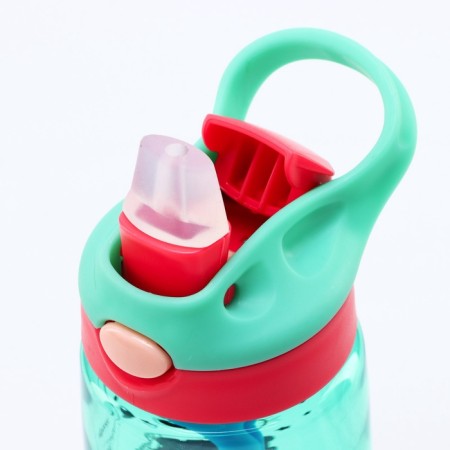 Water bottle "SHIAI", 550 ml-3