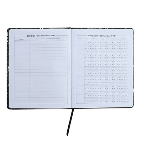 Universal Diary Grade 1-11, 48 sheets "Buntar spirit", a solid cover of artificial leather, lies, universal cheat sheet, block 80 g/m2-4