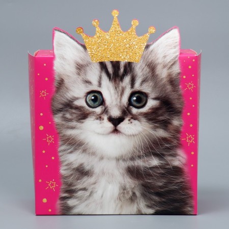 Gift folding box, packaging, “cat”, 25 x 25 x 10 cm-1