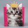 Gift folding box, packaging, “cat”, 25 x 25 x 10 cm