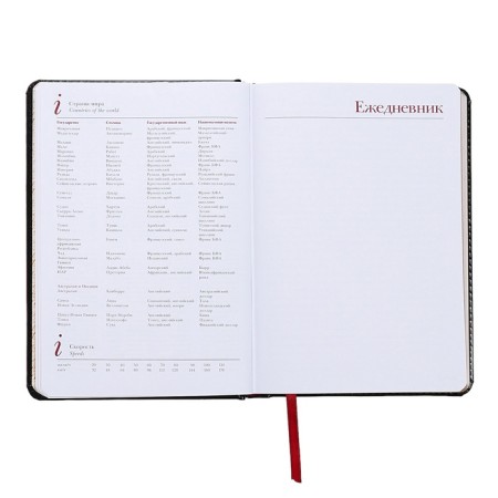 Diary of a low -end A5+, 136 sheets of Sidney Nebraska, hard cover, artificial leather, silver cut, black-12