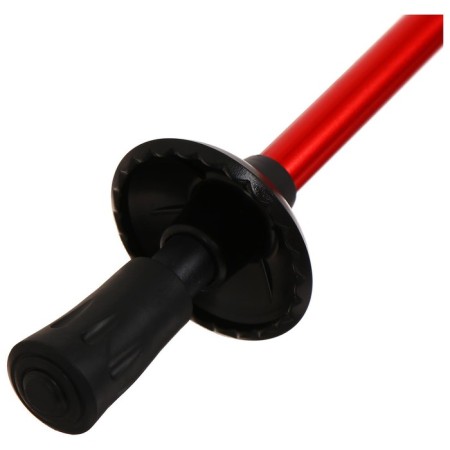 Sticks for Scandinavian walking online, telescopic, 3 sections, up to 135 cm, 2 pcs., Mix color-9
