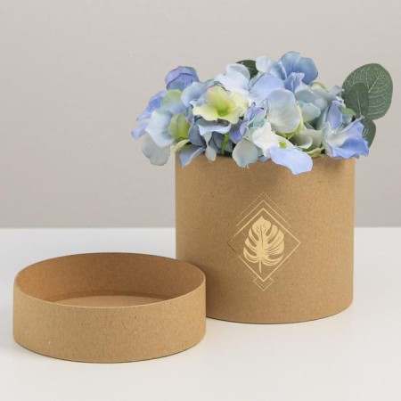 Craft Hat Gift from Craft, Packaging, "Liszt", 12 x 12 cm