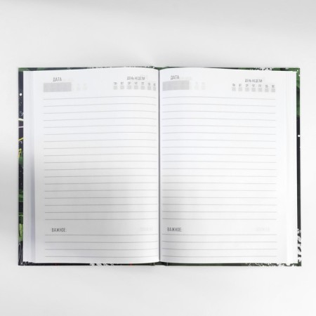 Gift set: A5 diary, 80 sheets and planning, 50 l. "Strong spirit"-3