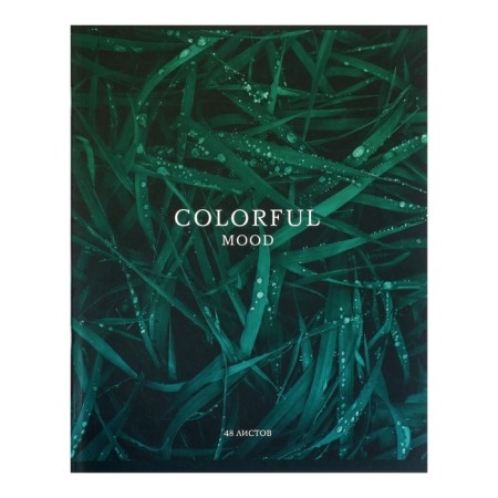 Notebook of 48 sheets in the Calligrata Emerald Cage, covered cardboard, block No. 2, whiteness 75% (gray sheets), mix-5