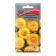Flower seeds with helichrizum Royal size gold, 0.1 gr