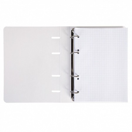 Notebook on 4 rings, A5, 80 sheets, in a cage, "frog Cyrus", slim-cartoon cover, glossy lamination, offset block-1