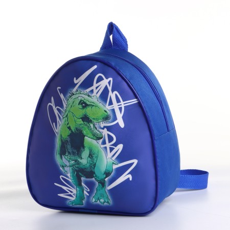 Children's backpack on the zipper "chosen", the color is blue-3