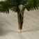 Artificial tree "Livistona" 90 cm