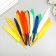Decorative straight feathers, 10-15 cm (set 24 pcs) 6 colors, bright, assorted