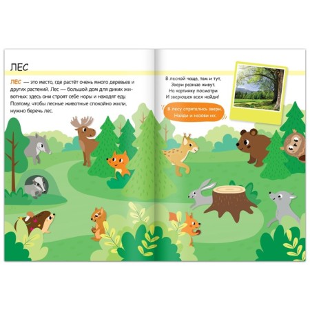 Set 3 in 1 “residents of the forest”: 12 puzzles, a book with stickers, coloring-10
