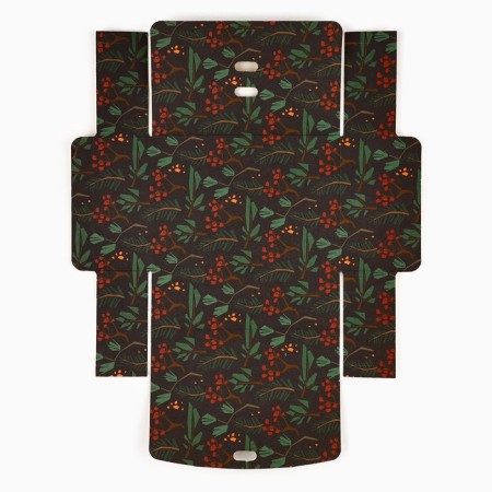 Box folding double -sided "New Year's botanist", 16.5 x 12.5 x 5 cm, without tape, New Year-7