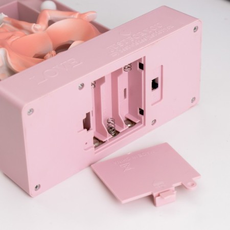 Night -toe "Lovers" 14XLED 4000K USB 3haa Pink 24.5x7x15.5cm Risalux-9