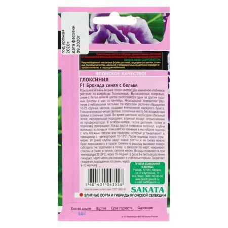 Gloxinia flowers "Blue Blue with White", F1, 4 pcs.-1