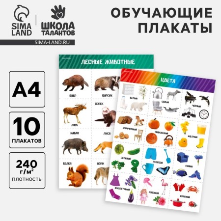 A set of training posters "Study the world", 10 in 1, A4-2