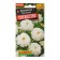Chertema flowers bouquet "triumph", o, 0.1 g