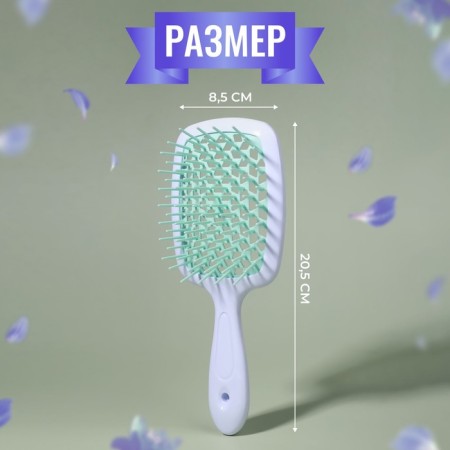 The comb massage, wide, ventilated, 8.5 × 20.5 cm, PVC box, white/turquoise color-3