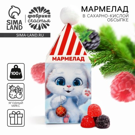 New Year! Marmalade "Gift for you", 100 g