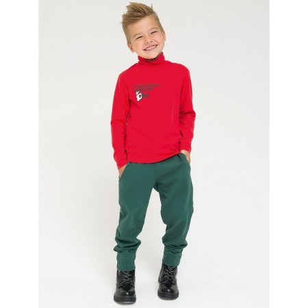 Turtleneck for the boy Pelican, height 110 cm, red color-4