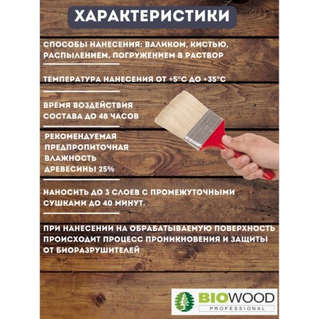 Antiseptic for internal and outdoor works Biowood VN concentrate 1: 1, 10l-2