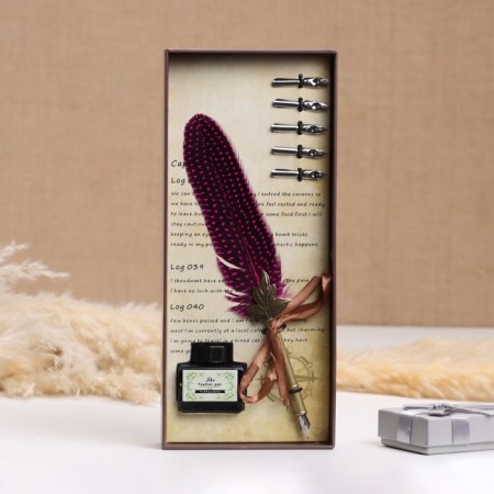 Gift set 3B1 "Herbi": feathers, ink, tips, red-1
