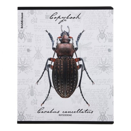 Notebook of 48 sheets in the Erichkrause "Beetles", matte lamination, an offset block 100%, mix-5