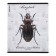 Notebook of 48 sheets in the Erichkrause "Beetles", matte lamination, an offset block 100%, mix