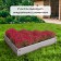Galled flowerbed, 70 × 15 cm, “Terition”, Greengo