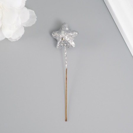 Decor for creativity "Asterisk" length 25 mm, silver