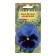 Viola flowers "Alpenzee", Wittroka, 0.05 g