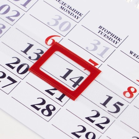 Calendar quarterly quadro "Symbol of the Year" 2025, 29.7 x 75.5 cm-2