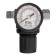Denzel 57491, 1/4 manometer regulator, 12 atm