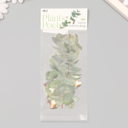 Plastic stickers "leaves and quotes. Green" set 12 pcs 8.5x21.5x0.2 cm-3