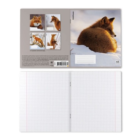 Notebook of 48 sheets in the Erichkrause cage, with a plastic cover, 5V, mix-1