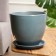 Pot Flower Tulip 5 L, dark gray