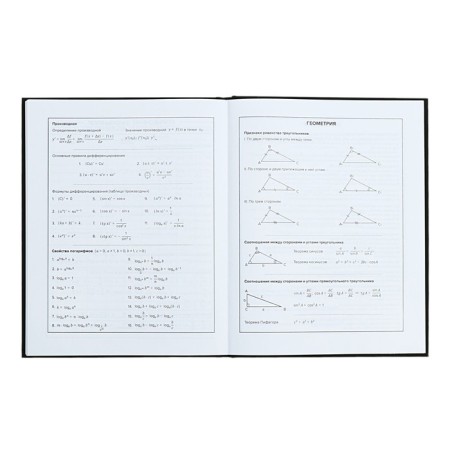 School diary for grades 1-11, 48 sheets "Main", solid cover, "software", universal cheat sheet, block 65g/m2-9