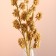 Set of dried flowers "licorice", ban 3 pcs, length 60 (+/- 6 cm).