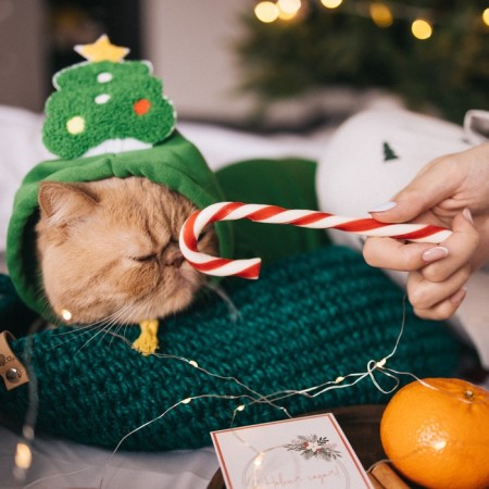Animal costume "Christmas tree", size 2xl, green-16