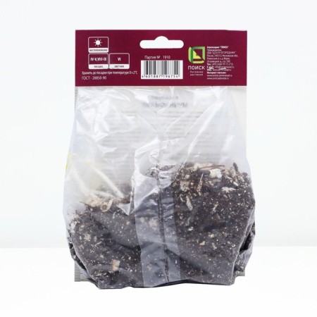 Delphinium high sangle, rr I, 1 pc, spring 2025-1