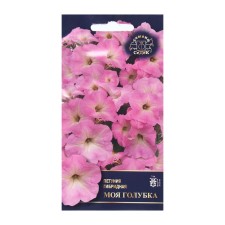 Seeds of Petunia Flower 